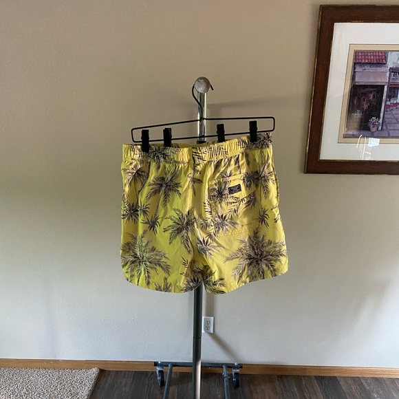 Swim Trunks - Picture 2 of 5